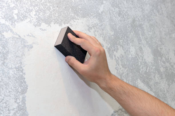 Best Mold Documentation for Insurance Claims  in Aiea, HI