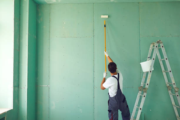 Best Biohazard Mold Removal  in Aiea, HI