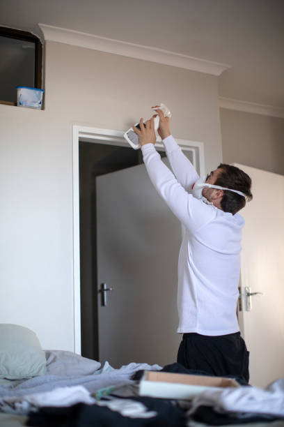 Best Mold Damage Restoration  in Aiea, HI