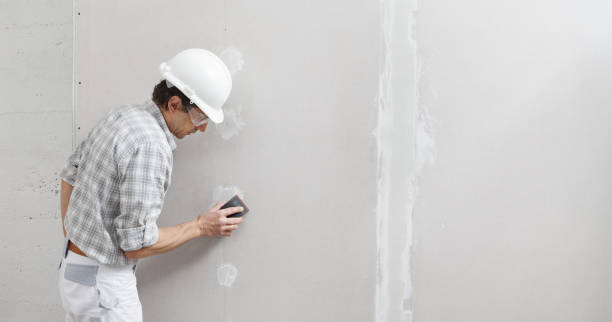 Best Mold Removal for HVAC Installations  in Aiea, HI