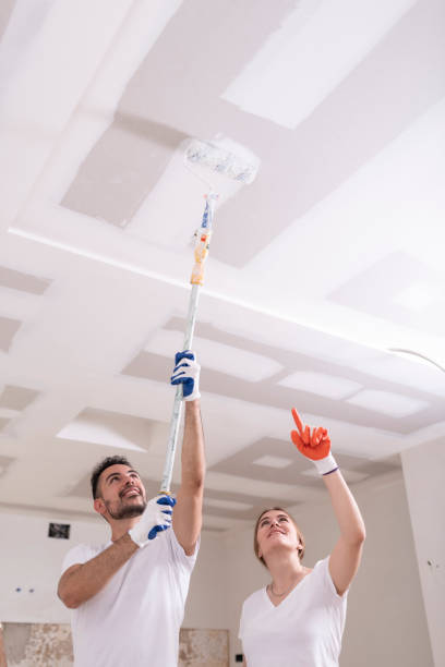 Best Mold Remediation for Healthcare Facilities  in Aiea, HI