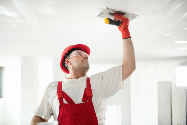 Best Emergency Mold Remediation  in Aiea, HI