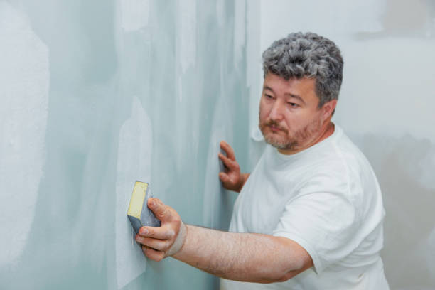 Best Basement Mold Removal  in Aiea, HI