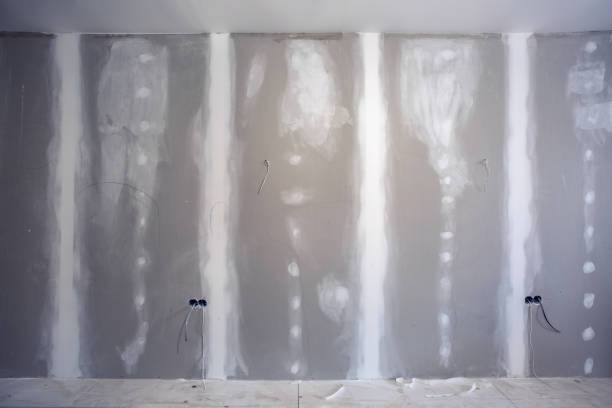 Best Asbestos and Lead Testing During Mold Inspection  in Aiea, HI